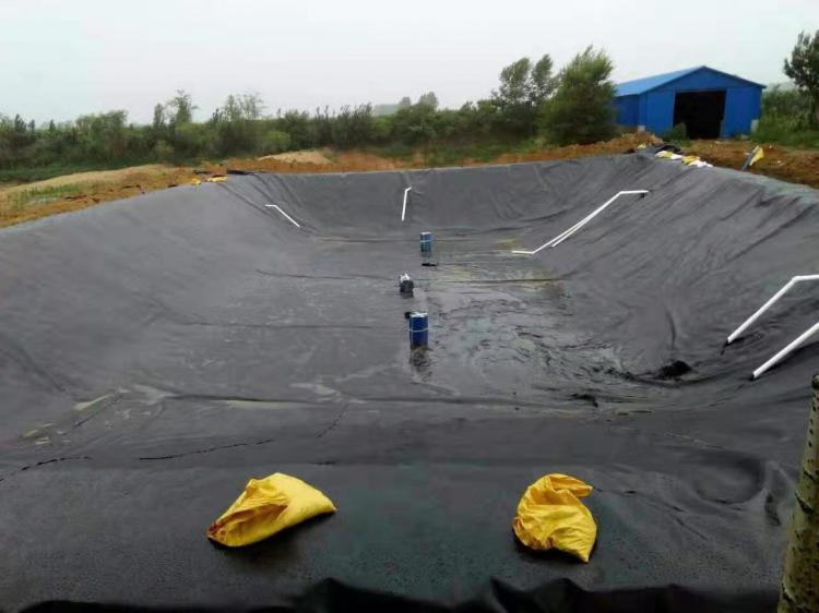 LDPE防滲土工膜價格 LDPE防滲土工膜價格