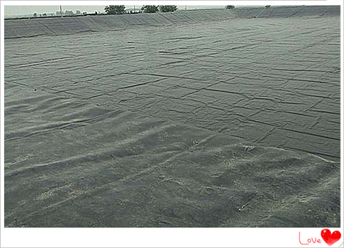 HDPE土工膜 HDPE土工膜